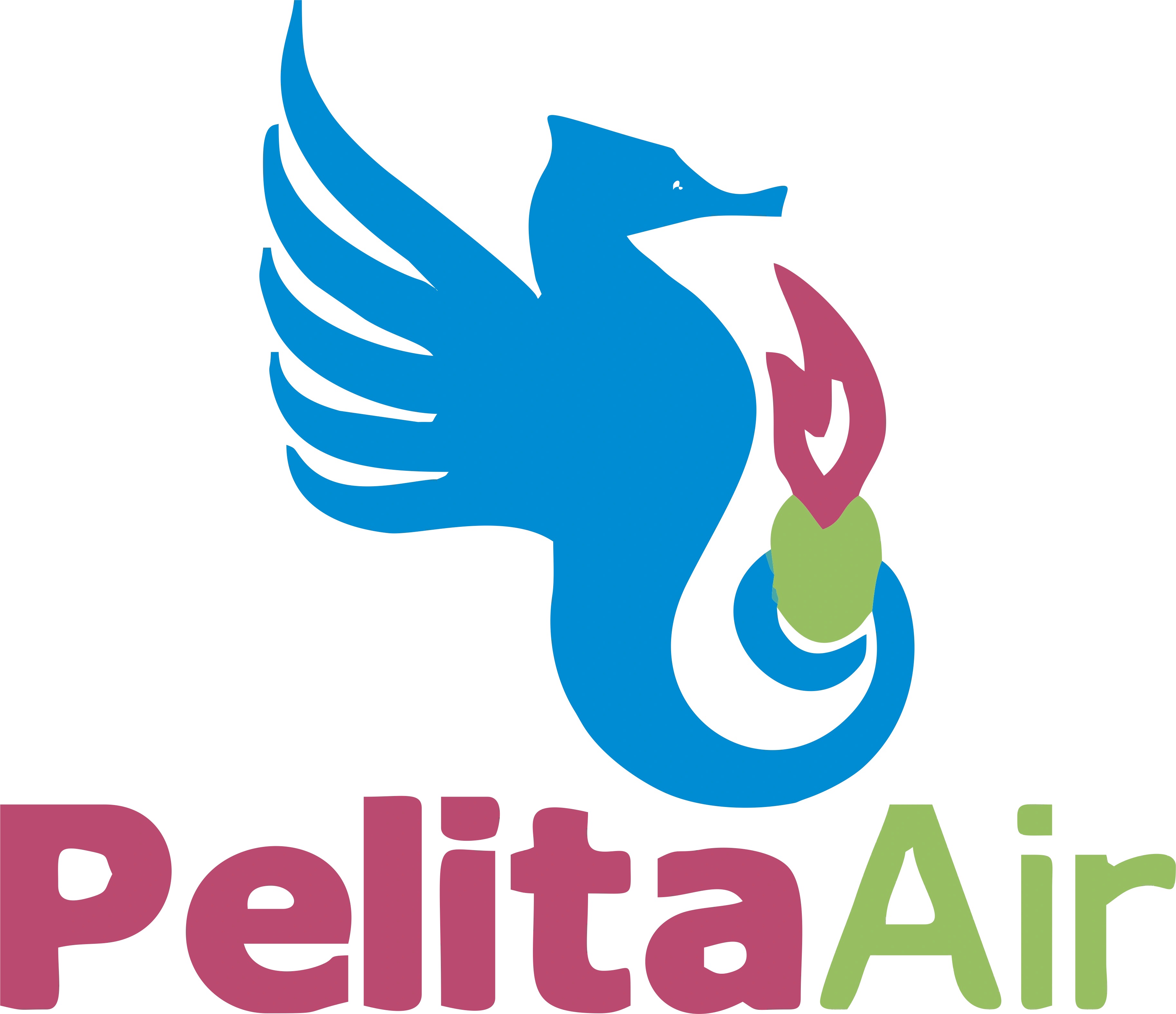 PELITA AIR